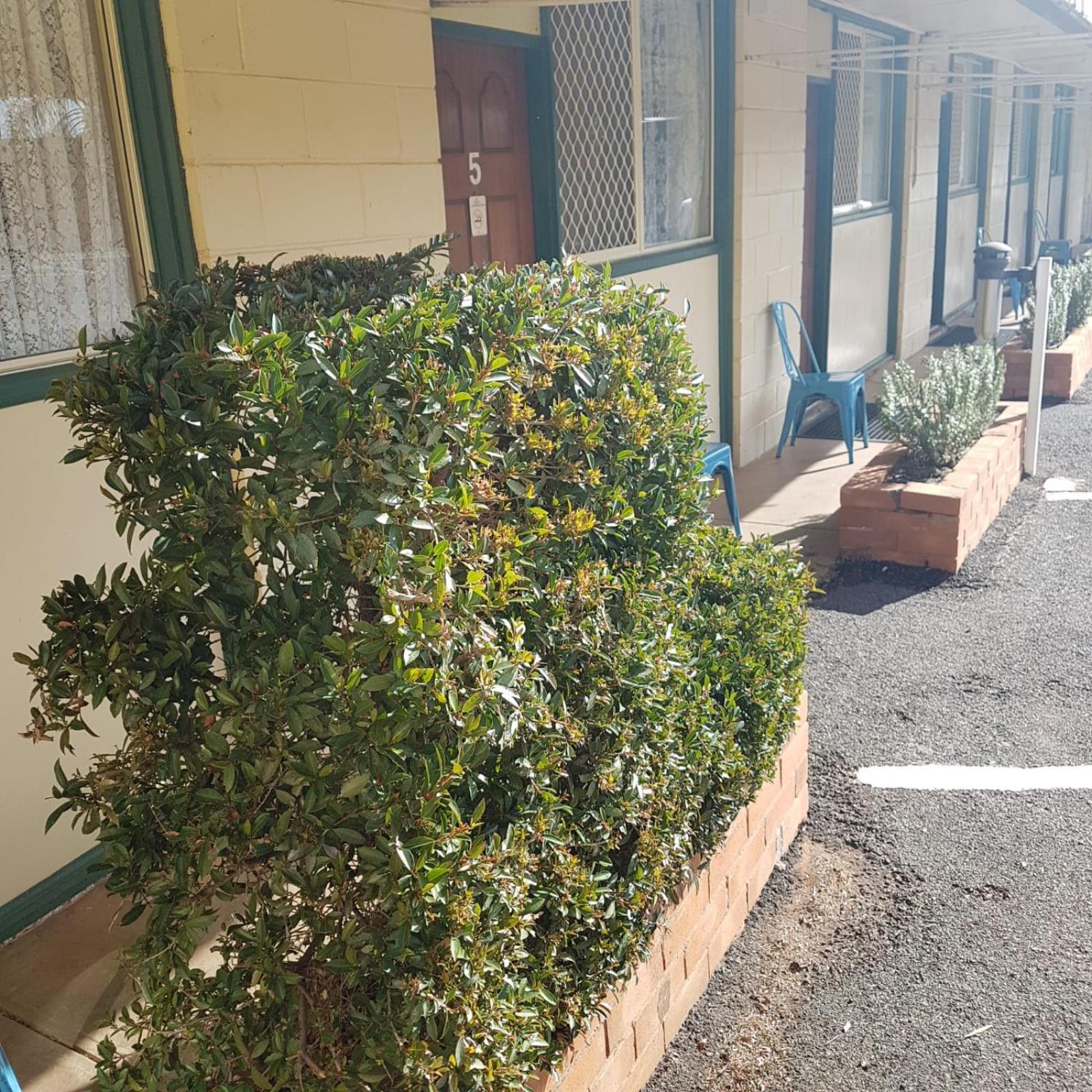Golden Peak Motel Peakhill Peak Hill Extérieur photo